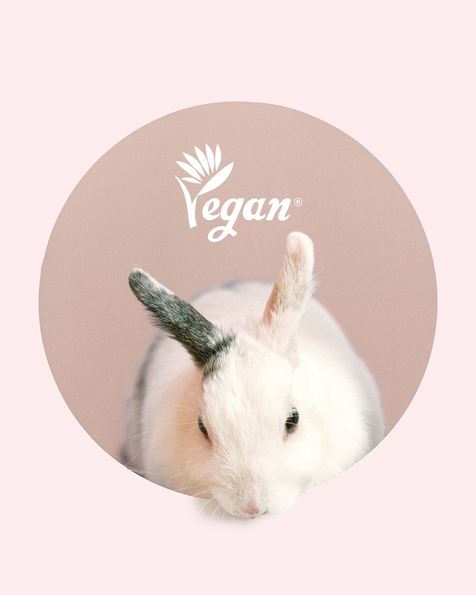 Certification végane VEGANIZE