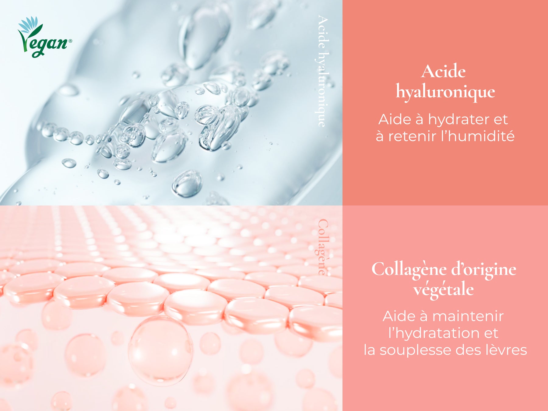 VEGANIZE Collagen Lip Glass Balm