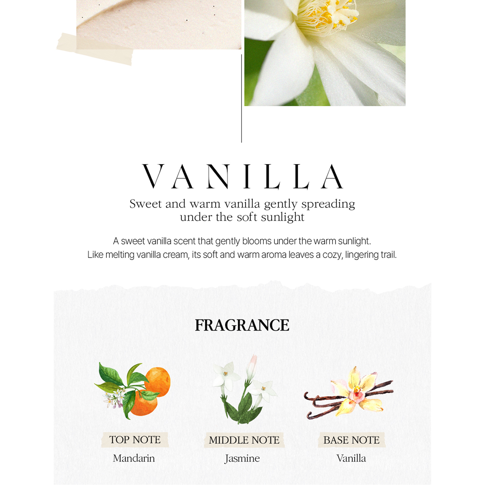 Perfume Body Lotion