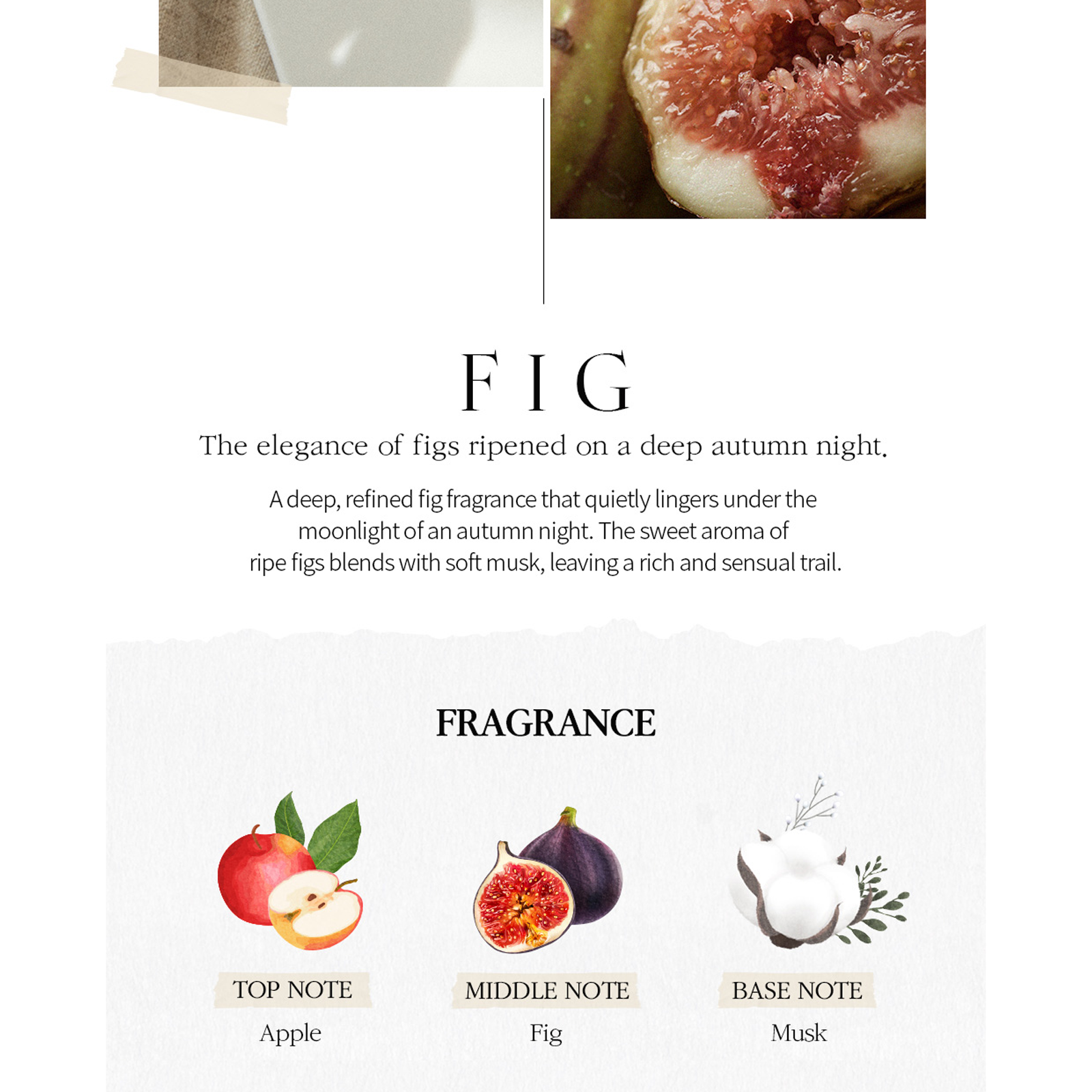Perfume Body Mist