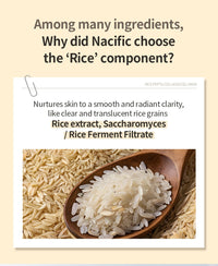 NACIFIC Rice Pepta Collagen Gel Mask (4ea)