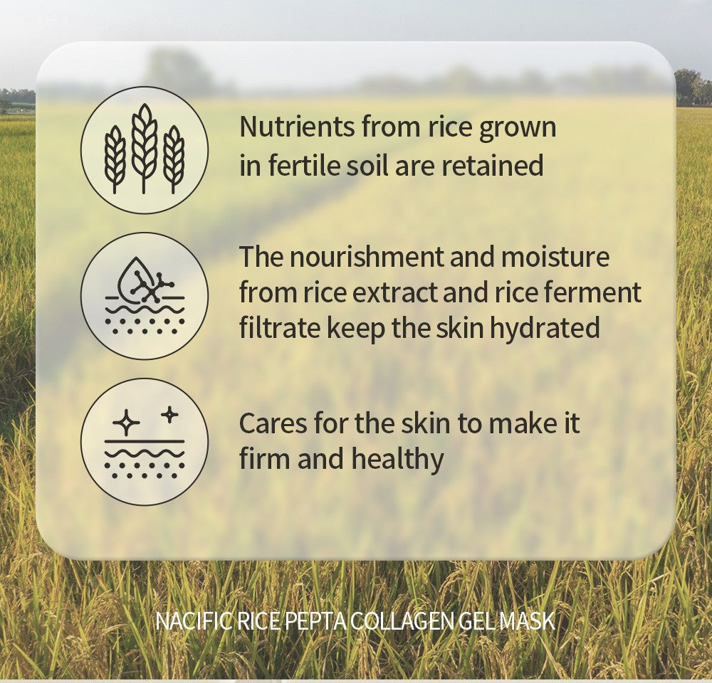 NACIFIC Rice Pepta Collagen Gel Mask (4ea)