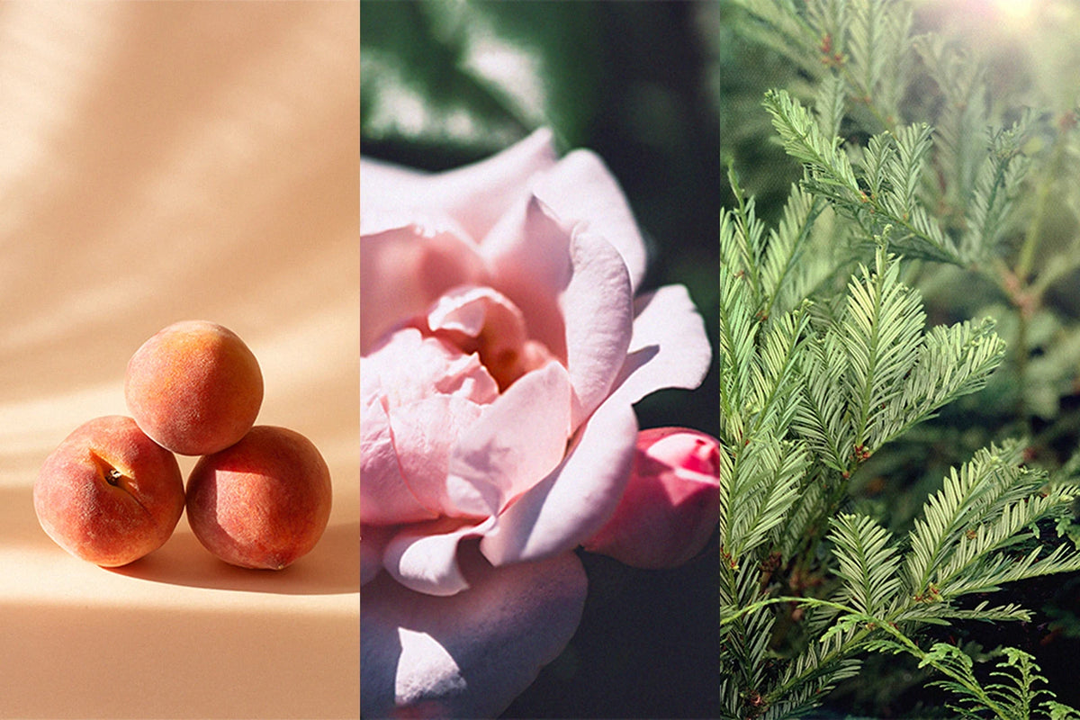 Pêches, rose et feuillage évoquant le parfum du masque