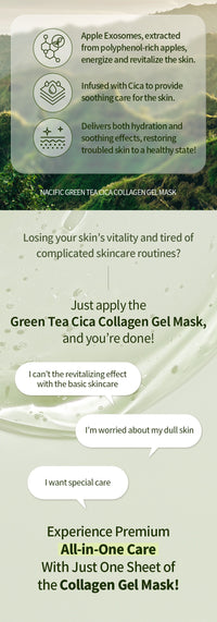NACIFIC Green Tea Collagen Gel Mask (4ea)
