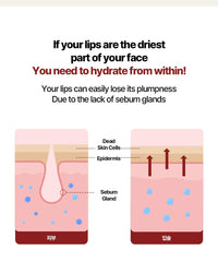 NACIFIC Rice Pepta Collagen Lip Treatment