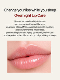 NACIFIC Rice Pepta Collagen Lip Treatment