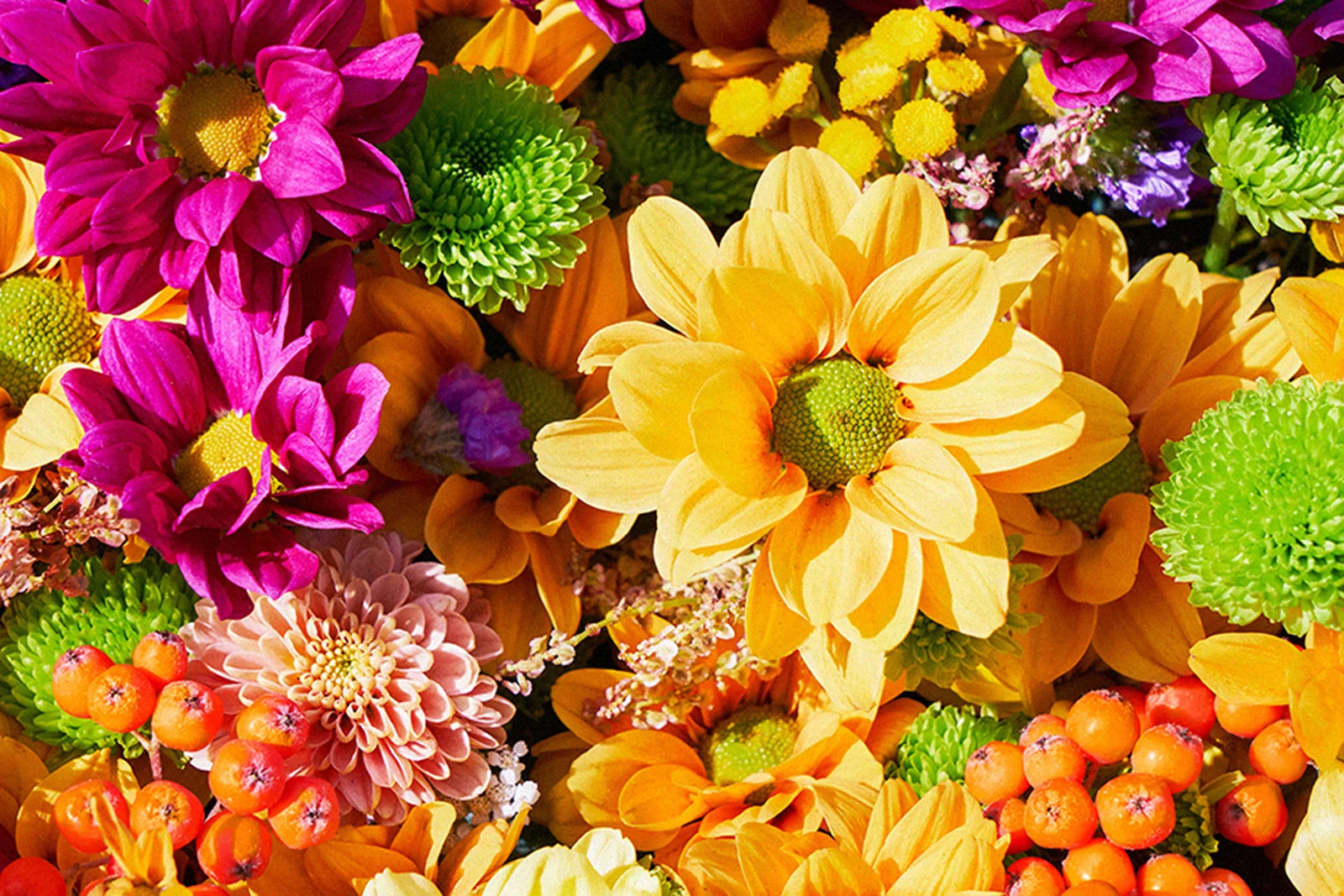 Flowers evoking the scent of skincare