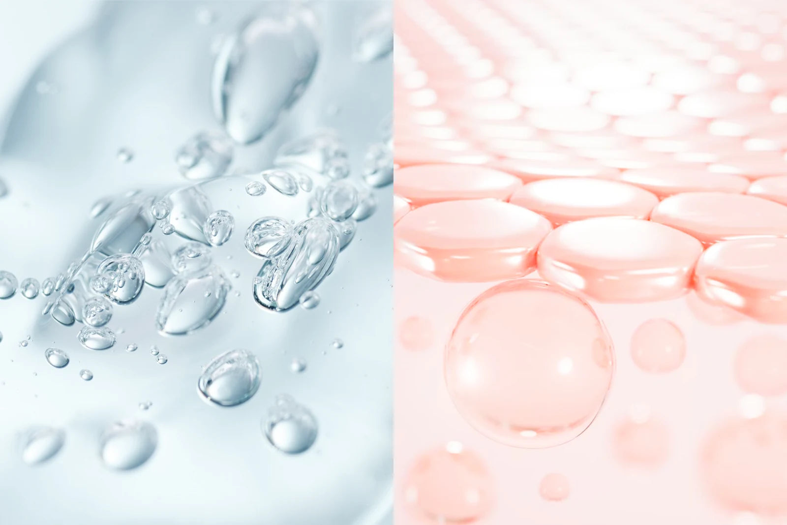 Acide hyaluronique et collagène d'origine végétale